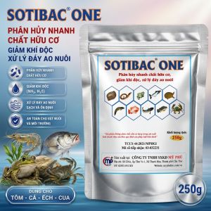 SOTIBAC ONE 250g Men Vi Sinh Thủy Sản Phân Hủy Chất Hữu Cơ Giảm Khí Độc Xử Lý Đáy Ao Nuôi