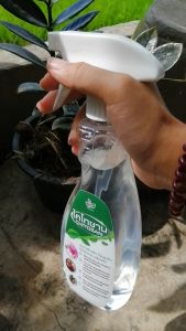 ไคโทซาน สารบำรุงต้นไม้