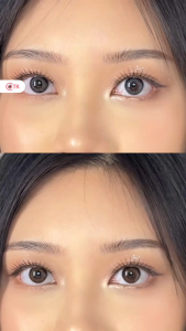 SOFTLENS MACARON NORMAL & MINUS (-0.50 S/D -6.00) BY CTK 14.5MM FREE LENSCASE / SUGAR GREY