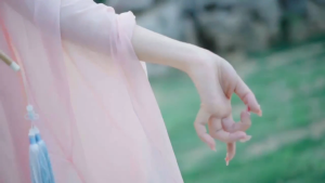 NGHG MALL-中国内地+港台 60-70年代 全视频歌曲U盘 卡拉OK 国语老歌民歌+流行歌曲U盘视频伴唱 双音轨可消 MKV format Karaoke songs Mandarin New Songs Old Songs Folk Songs Love Songs duet singing MKV 64GB 1600MV