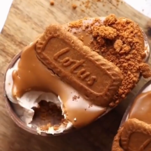 Lotus Biscoff Biscuit (10x250g)