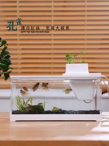 Fish Tank Desk Aquarium with LED Light, Silent Filtering Water Pump, and Adjustable Heating Gear: A Complete Guide