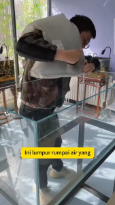 Benih rumput air akuarium Tumbuhan hidroponik hiasan balang kaca kecil landskap segar 4 musim Aquarium Plant Seeds Water Plants Foreground Water Plants Carpet Plant Seeds Fish Tank Landscaping