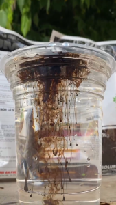HUMIC KALI phân bón hữu cơ từ khoáng chất túi 1kg phù hợp cho cây trồng trong vườn.