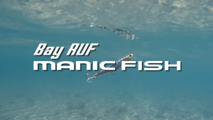 เหยื่อปลอม DUO BAYRUF MANIC FISH 77