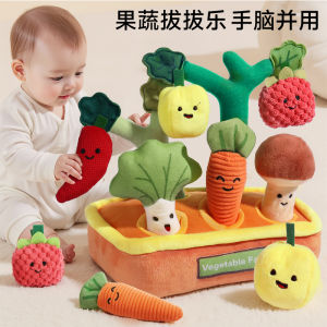 Early Education Pulling Carrots Baby Toy Chewing Early Education Toys for 0-1 Year Old Babies Fine Motor Skills Training