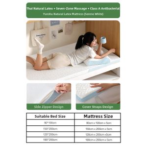 Mercury | Imported Thai Latex Student Dormitory Mattress Pad