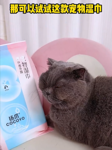 Cocoyo 36pcs Pet Wet Wipes / Dog Cat and Rabbit Wipes / Wet Tissues / Pet Wet Tissue Essential oil protection and mite removal are increased large size