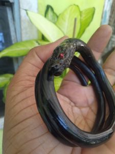 Gelang Akar Bahar Hitam Serat ukir kepala ular murah asli original