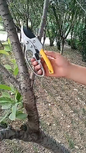 Gunting Dahan Ranting Ratchet Pruning Shears Scissors / Gunting Batang Pemotong Kayu Tanaman Taman
