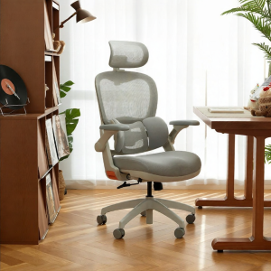 BOJOJAN | Ergonomic Study Chair For Teenagers