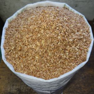 Red Rice Mindoro