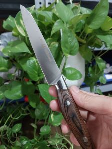 Dao gọt hoa quả cán gỗ sồi