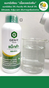 เจนวาย แม็กก้า 1L. (รูปแบบเนื้อเจล เร่งซึม)  สร้างคลอโรฟิลล์ ใบเขียวสมบูรณ์ เร่งการสะสมอาหาร เร่งใบแก่ เพิ่มความสมบูรณ์ ใบหนาใหญ่ เสริมการทำงานของเอ็นไซม์