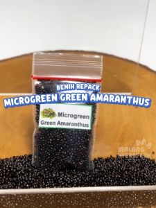 Benih Microgreen Green Amaranthus Bayam Hijau Unggulan berkualitas biji bibit tanaman sayur sayuran hydroponik hidroponik caisim bayi
