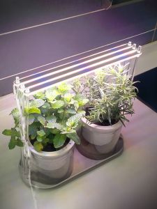 Đèn LED Phát Sáng Cột Trong Nhà Tự Động Điều Khiển Thời Gian Để Bổ Sung Ánh Sáng Cho Cây Trồng Trên Đĩa Đệm