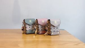 2024 Small bag for mobile phone female ins fashion messenger bag mini vertical simple shoulder bag