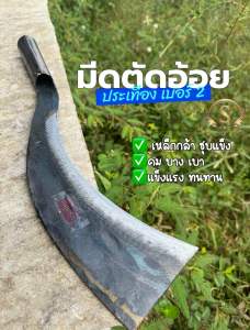 มีดตัดอ้อยประทือง เบอร์2 เหล็กกล้าชุบแข็งน้ำหนักเบา ใช้สำหรับตัดอ้อยและต้นไม้ขนาด 9*40