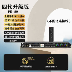 Effector Professional Karaoke Preclass KTV Home Microphone Microphone Reverberator Anti-Howling Digital Audio Processor