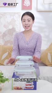 Microwaveable Glass Bento Box Set Compartmentalized with Lid
