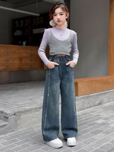 AINAO | New Fashionable Wide Leg Trousers Spring Autumn