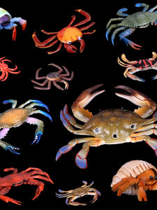 HANYIMOWAN | Imitation Crab Ocean Animal Model Toy