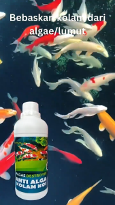 Algae Destoyer | Anti Algae | Anti Lumut dan Parasit | Obat Pembasmi Lumut Kolam Ikan hias dan Aquarium | 500 mL