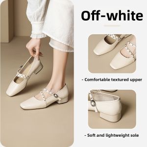 Josiny | Pointed Toe Retro Thick Heel Elevating Mary Jane Flats