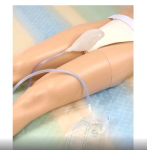 Reusable Urine Bag Urine Collection Catheter Portable Male and Female Elderly Urinal Silicone Urine Funnel Urinary Incontinence Bedridden Patient Care