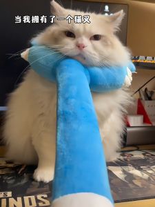 Đồ Chơi Vải Nhồi Bông Dẹt Cho Mèo Tiêu Diệt Chó Tiêu Khiển Giải Trí Tiêu Hao Thể Lực Đồ Chơi Chó Và Mèo Bằng Vải PP Dùng Cho Mọi Lứa Tuổi