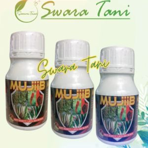 Insektisida Sistemik MUJIB 250ml Cegah layu Bakteri Fusarium dan Busuk Akar