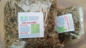 cây rau diệu sấy khô 100G TẶNG 50G CỎ NGỌT
