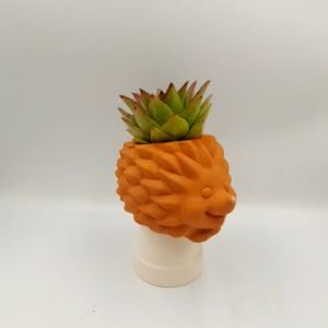 Chậu đất nung chậu sen đá - Nhím 89 miệng chậu 8cm chiều cao 9cm