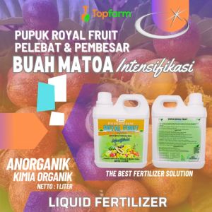 Pupuk Buah Super Lebat: Cara Penggunaan dan Keuntungannya
