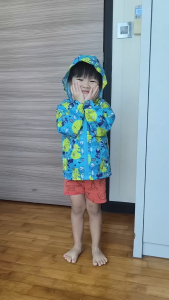 Dinosaur Print Windbreaker