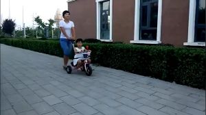 FLYBB Kids Sepeda Roda Tiga Lipat Multifungsi Sepeda Anak Laki Laki Tricycle Exotic