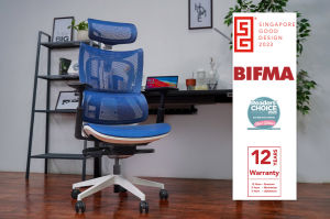 Ergoworks Chair – Truly Perfect Chair | Ergonomic Office Chair [Free Fellowes Footrest Worth $45]