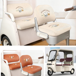 Decorative Custom E-trike Seat Cover