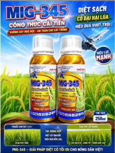 Trừ cỏ hậu nảy mầm MIG 345 chai nhôm Beeco 345 240ml: cỏ lồng vực cỏ gạo cỏ đuôi phụng không làm đỏ lúa
