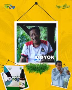 PROMO SPESIAL AGARILLUS PROKAN | Obat Kanker Obat Miom Obat Kista Obat Penyakit Bagian Bawah | 100% Original Produk Kualitas Premium