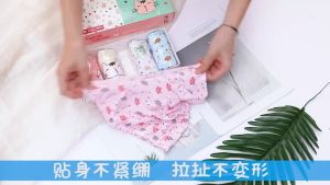 Girls Panties Kids 100% cotton Underwear for Girls Fashion 5-pieces per box Korean Style Underwear 女童纯棉内裤 seluar dalam budak perempuan C037