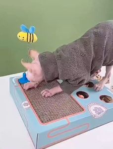 Mainan Pukul Pukul Tikus / Mainan Hewan Pukul Pukul Tikus Tanah Multi Fungsi Garukan / Cat Toys Papan Garuk Kucing Pukul Tikus / Cat Whack A Mole Toy With Cat Scratching Pad