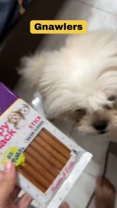 40g Gnawlers Puppy Snack All Stages Adult Puppy Dog Dogs Pet Snack Food Treats