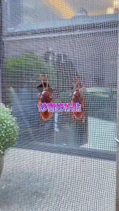 Window Screen Repair Tape Self Adhesive Mesh Tape Net Door Fix Patch Anti Insect Mosquito Mesh Broken Holes Repairing