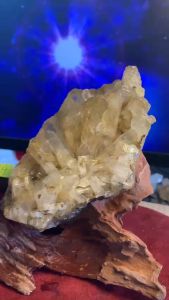 tinh thể bụi thạch anh vàng Citrine tự nhiên 224