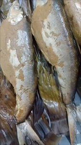 OTAK-OTAK BANDENG BAKAR BUMBU KOMPLIT - 1 Ekor Utuh Khas Gresik (DIBAKAR) 450 Gram