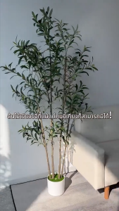 【Send flower pots】120/150/180cm Artificial Olive Tree Artificial Plant Big Size The trunk is brown like a real plant Potted Plant Floor Flower pots Plant Indoor House Home Wedding Office Decoration