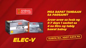 6 sachet Elec-V Sachet (6 grams each)  for animals pigs birds pets