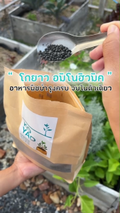 เซ็ตจุใจ โกยาวอมิโนฮิวมิค 4 กิโล ปรับสภาพดิน เร่งราก เร่งดอก เร่งใบ