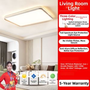 PAIMIJI | Modern Minimalist Full Spectrum Eye-Protective Ceiling Light